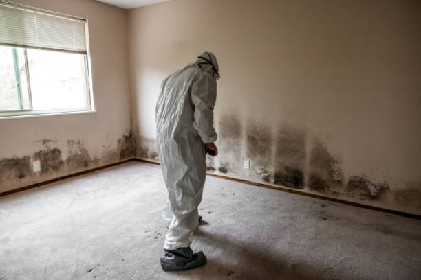 Best Mold Testing  in Warren, MN